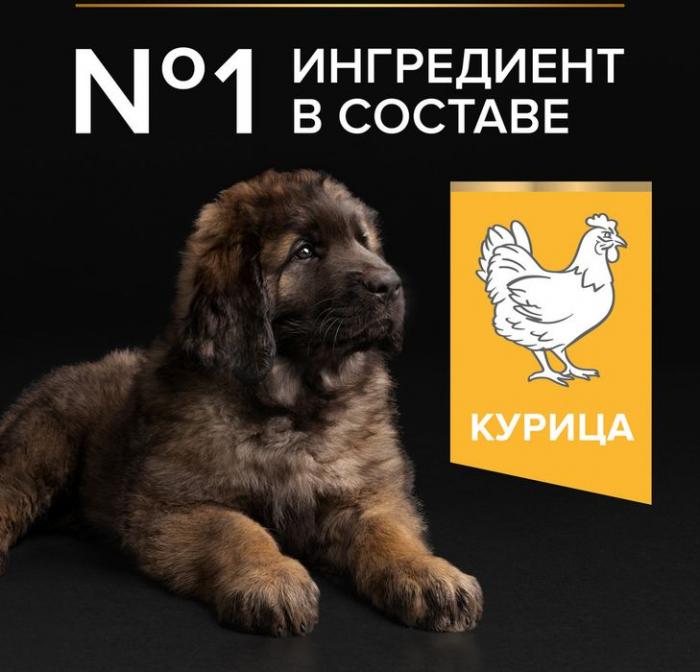 Сухой корм Pro Plan® Healthy Start для щенков крупных пород с мощным телосложением, с высоким содержанием курицы