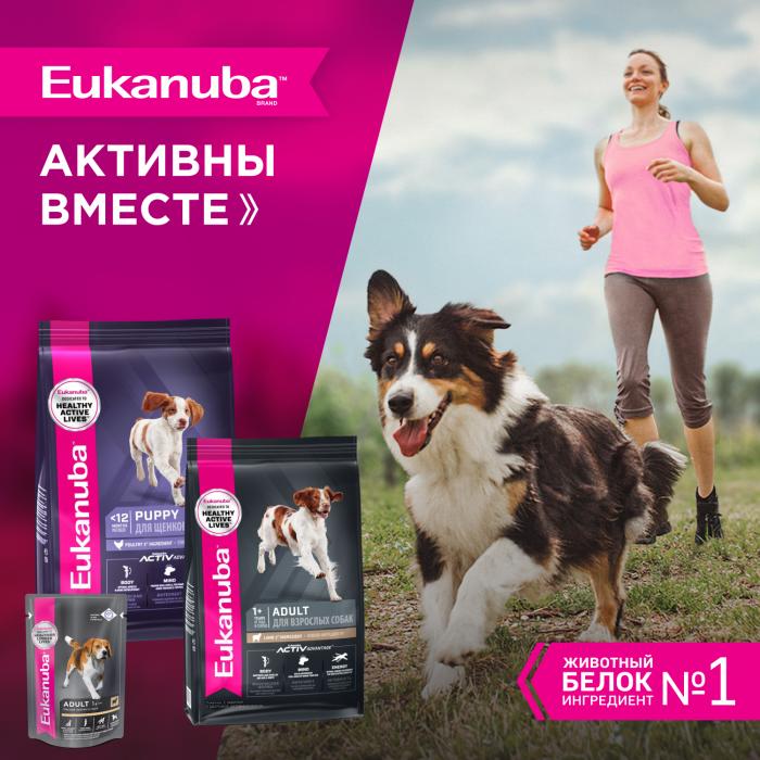 Eukanuba влажный корм для взрослых собак всех пород, ягненок в соусе