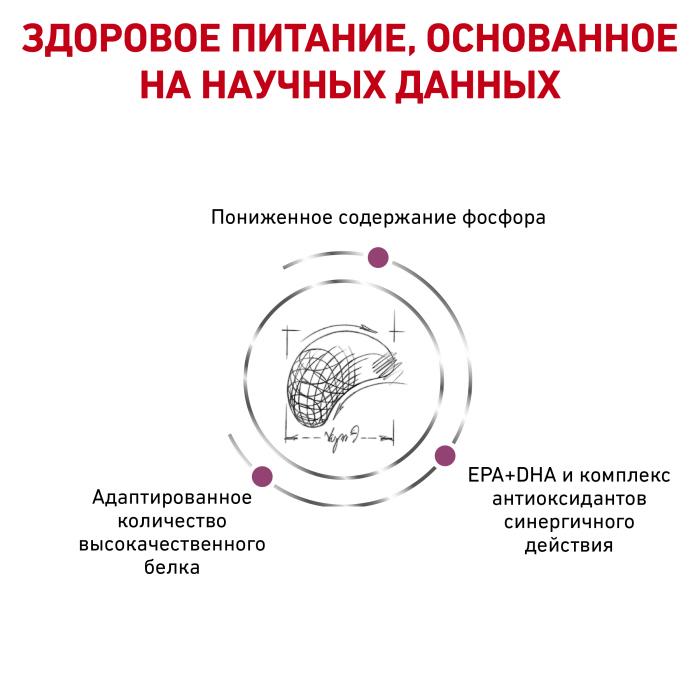 Royal Canin корм для взрослых собак всех пород с хронической болезнью почек