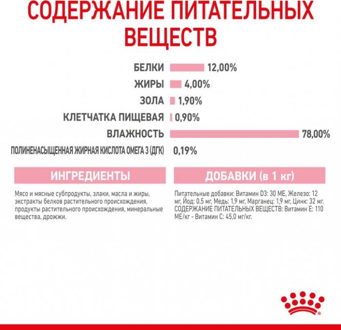 Royal Canin влажный корм для котят всех пород, в соусе