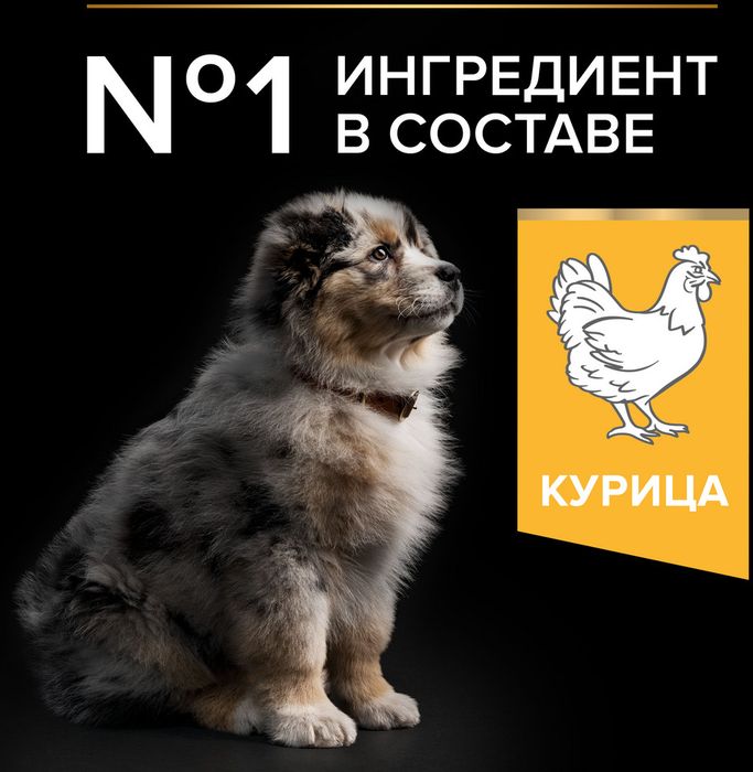 Сухой корм Pro Plan® Healthy Start для щенков средних пород, с высоким содержанием курицы