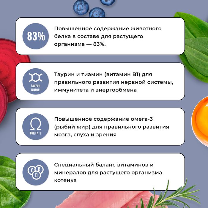 Bowl Wow корм для котят, с индейкой, курицей и добавлением черники