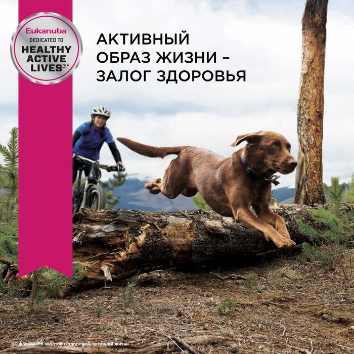 Eukanuba Mature&Senior 6+ Large Breeds сухой корм для собак крупных пород с курицей