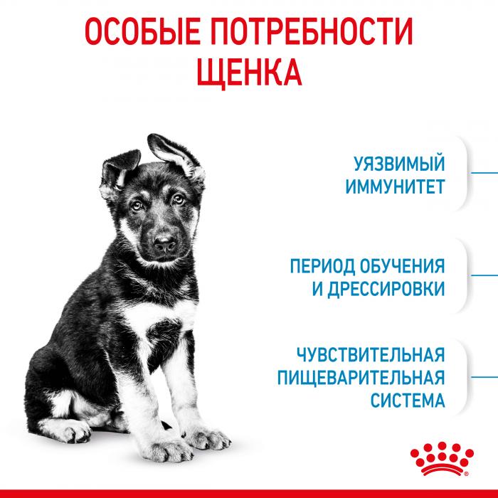 Royal Canin Maxi Puppy сухой корм для щенков крупных пород