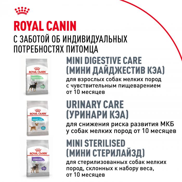 Royal Canin Chihuahua сухой корм для собак породы чихуахуа старше 8 месяцев