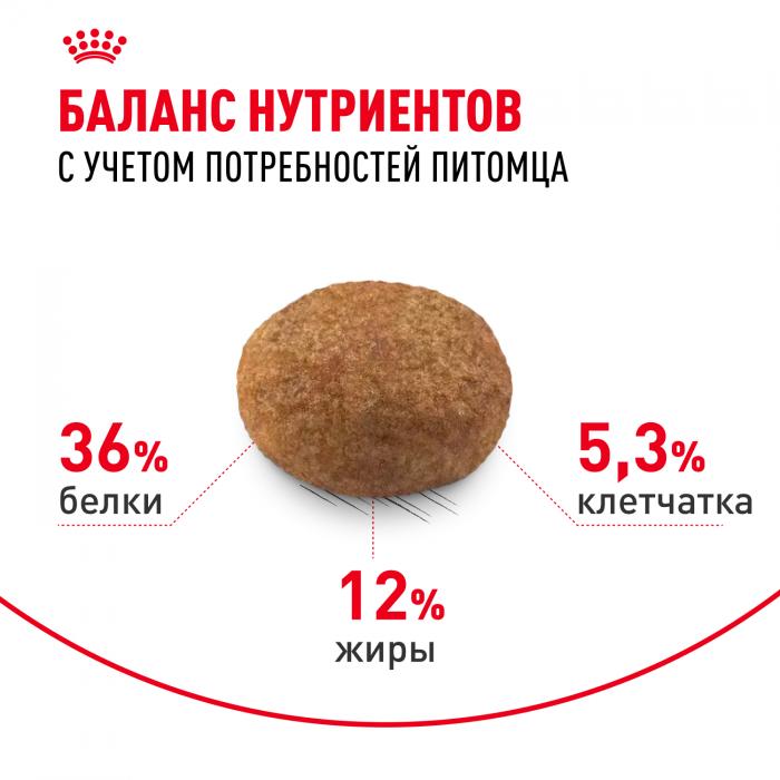 Royal Canin Sterilised +7 сухой корм для стерилизованных кошек старше 7 лет