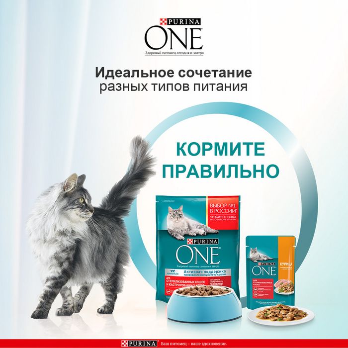 Влажный корм Purina ONE® для стерилизованных кошек, с курицей и зеленой фасолью