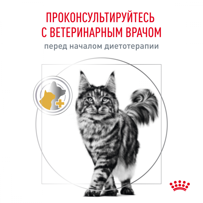 Royal Canin Urinary S/O лечебный корм для кошек для профилактики мочекаменной болезни