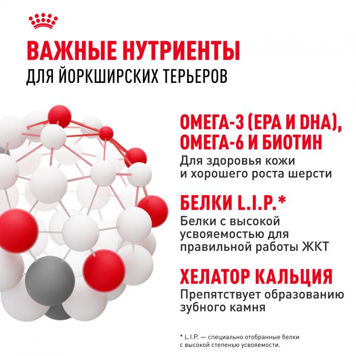 Royal Canin Yorkshire Terrier сухой корм для собак породы йоркширский терьер старше 10 месяцев