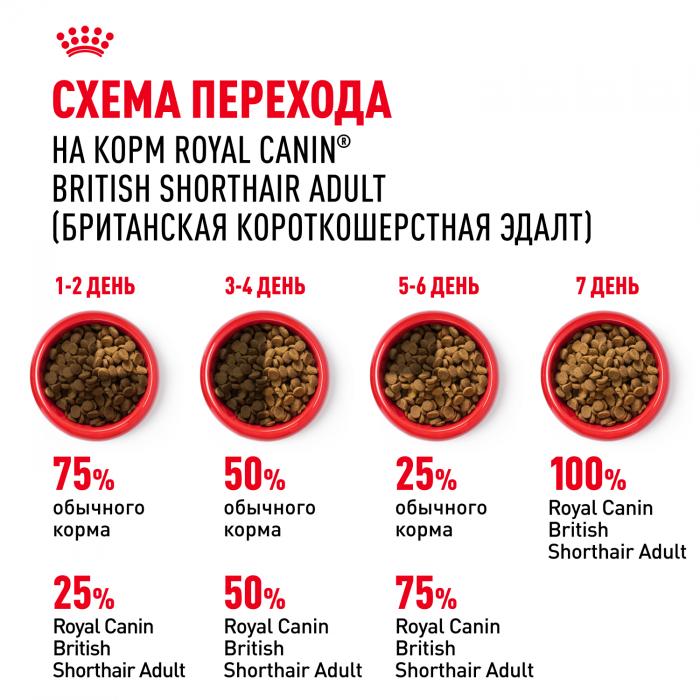 Royal Canin British Shorthair Adult сухой корм для кошек британской короткошерстной породы старше 12 месяцев