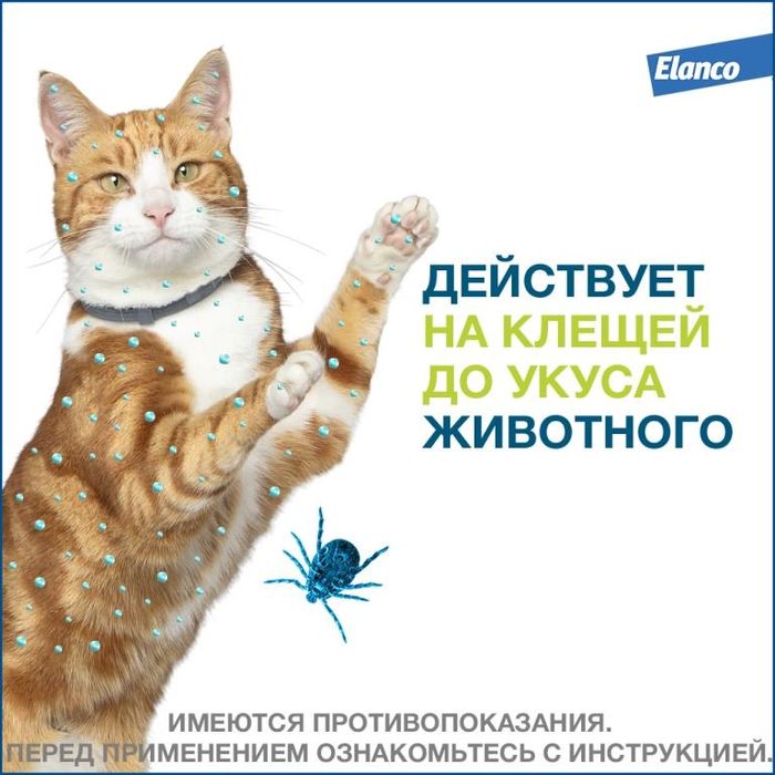 Elanco Форесто ошейник для котят и кошек, от клещей и блох