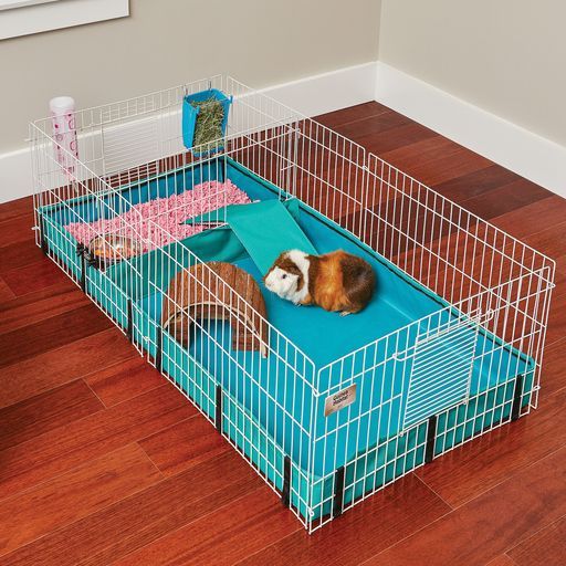 Midwest Guinea Habitat Plus клетка для морских свинок