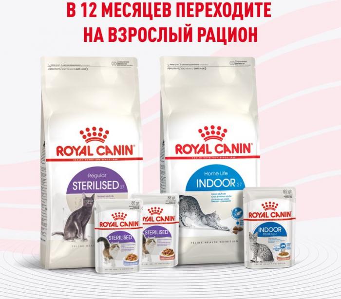 Royal Canin влажный корм для стерилизованных котят, кусочки в желе