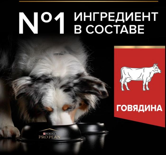 Сухой корм Pro Plan® Duo Delice для взрослых собак средних и крупных пород, с высоким содержанием говядины