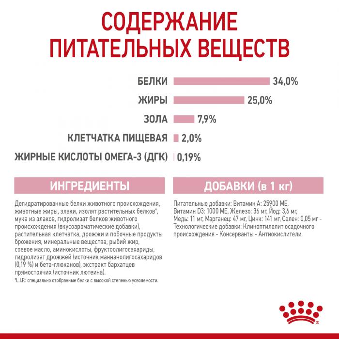 Royal Canin Kitten Mother&Baby cat сухой корм для котят и беременных кошек
