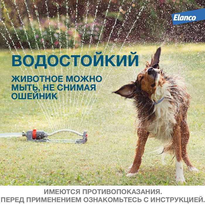 Elanco Форесто ошейник для щенков и собак менее 8 кг, от клещей и блох
