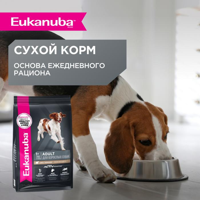 Eukanuba влажный корм для взрослых собак всех пород, ягненок в соусе