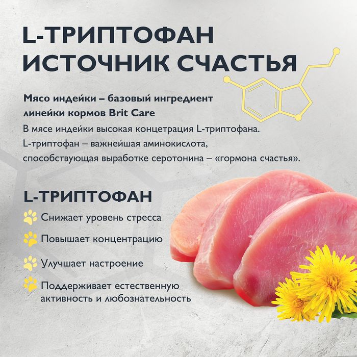 Brit Care Dog Puppy&Junior L Healthy Growth корм для щенков, индейка с ягненком