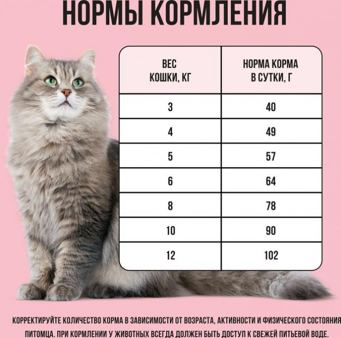 Bowl Wow корм для кошек, с индейкой, курицей и добавлением яблока