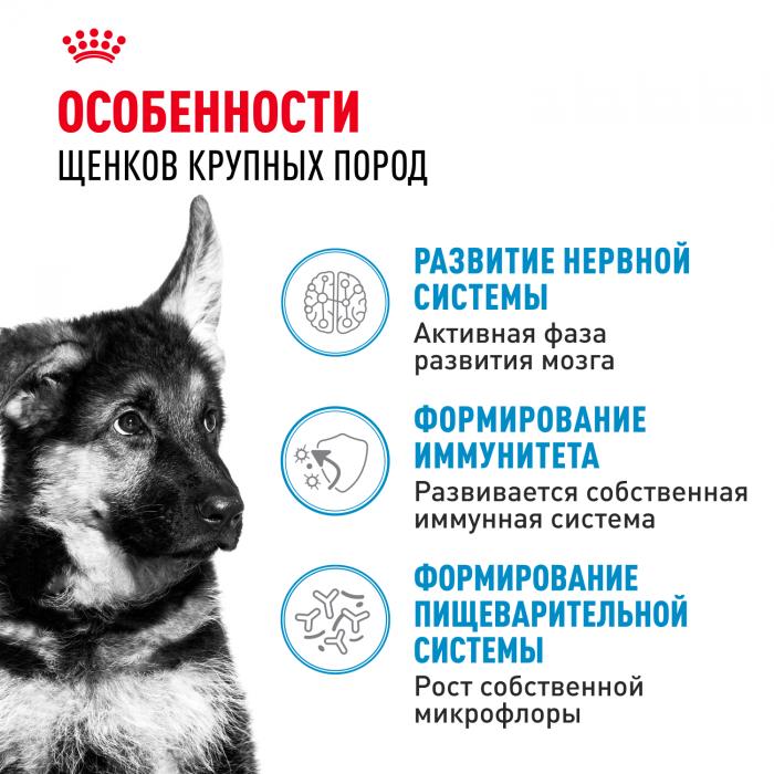 Royal Canin Maxi Puppy сухой корм для щенков крупных пород