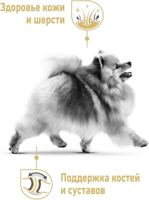 Royal Canin корм для взрослых собак породы Померанский Шпиц