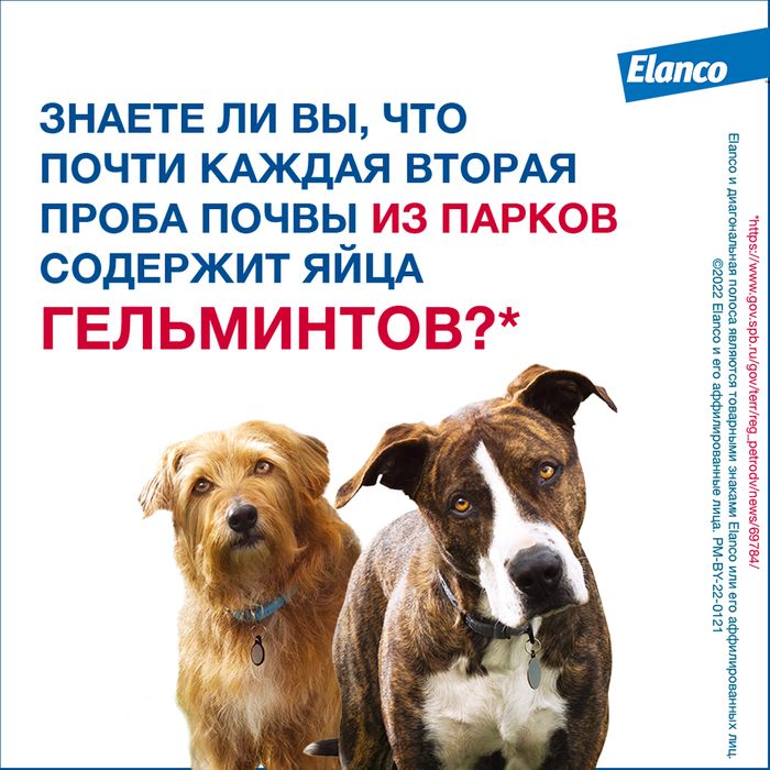 Elanco Мильбемакс таблетки для взрослых собак крупных пород, антигельминтик