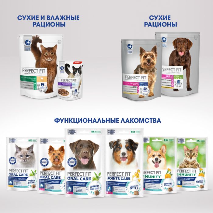 Perfect Fit Oral Care лакомство для кошек, для поддержания здоровья зубов и полости рта, с курицей и добавлением мяты