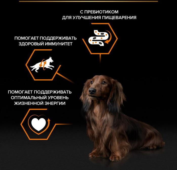 Влажный корм Pro Plan® для взрослых собак мелких и карликовых пород, с говядиной в соусе