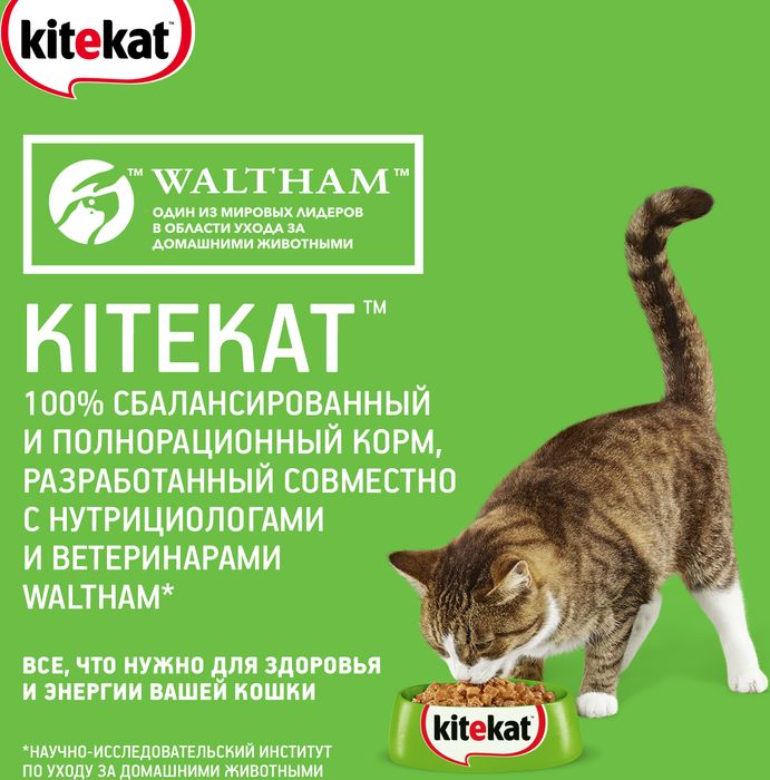 Kitekat влажный корм для взрослых кошек всех пород, говядина в соусе