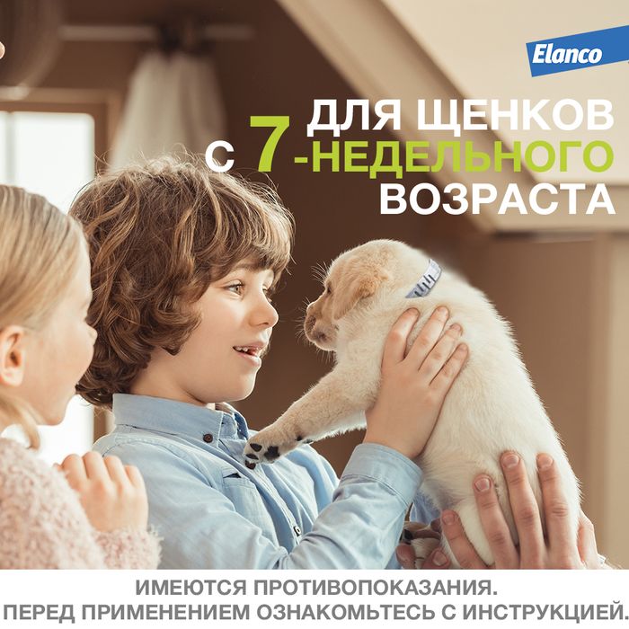 Elanco Форесто ошейник для щенков и собак менее 8 кг, от клещей и блох