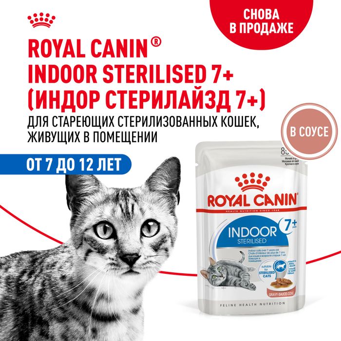 Royal Canin Indoor влажный корм для стерилизованных пожилых кошек, кусочки в соусе
