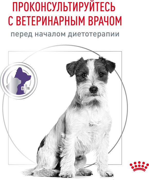Royal Canin Neutered S корм для взрослых стерилизованных собак малых пород