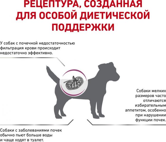 Royal Canin Renal Small Dog сухой корм для собак мелких пород при заболеваниях почек