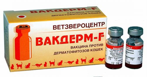Вакдерм-F вакцина против лишая для кошек