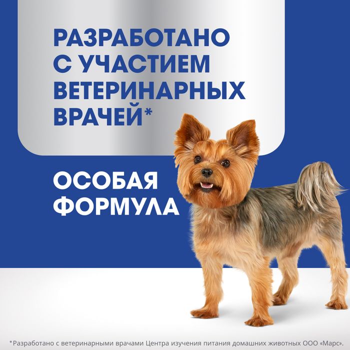 Perfect Fit Oral Care лакомство для собак малых пород, для поддержания здоровья зубов и полости рта, с говядиной и добавлением мяты