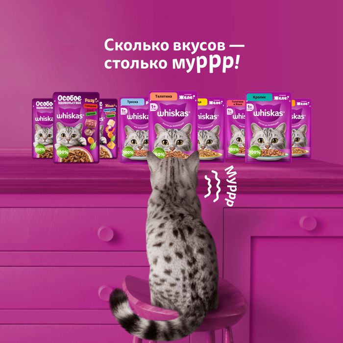 Whiskas влажный корм для взрослых кошек, желе с телятиной