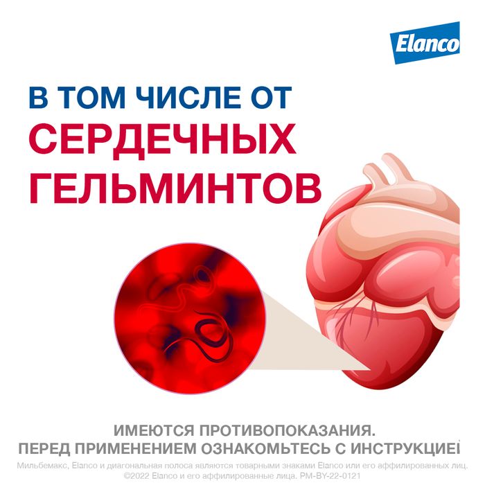 Elanco Мильбемакс таблетки для котят и молодых кошек, антигельминтик