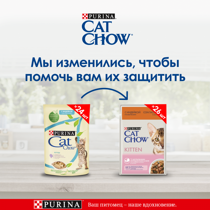Cat Chow Kitten влажный корм для котят с индейкой и кабачком