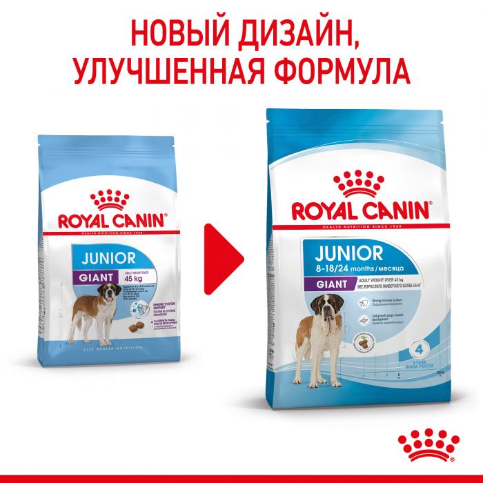 Royal Canin Giant Junior сухой корм для щенков гигантских пород