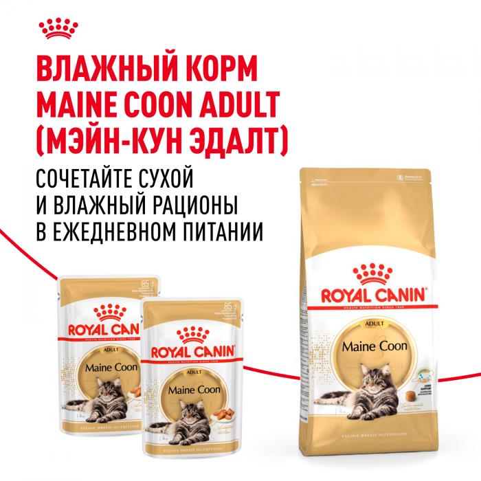 Royal Canin Maine Coon Adult сухой корм для крупных кошек породы мейн-кун