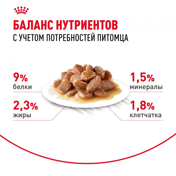 Royal Canin влажный корм для стерилизованных взрослых кошек всех пород, кусочки в соусе