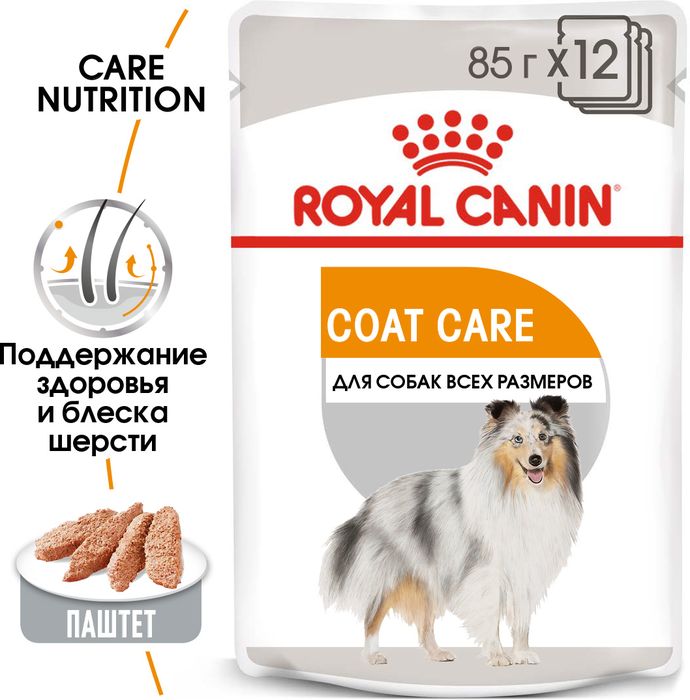 Royal Canin Coat Care влажный корм для взрослых собак всех пород с чувствительной кожей и шерстью, паштет