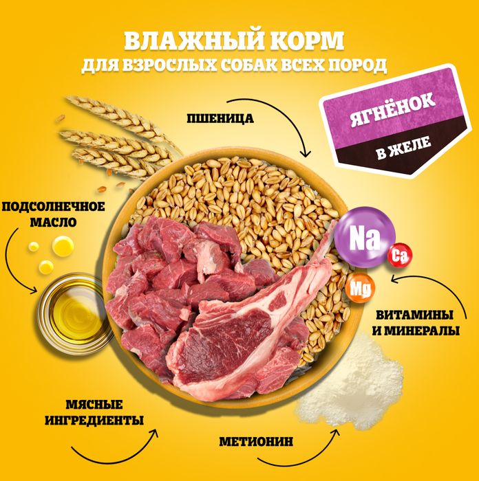 Pedigree влажный корм для собак с ягненком в желе