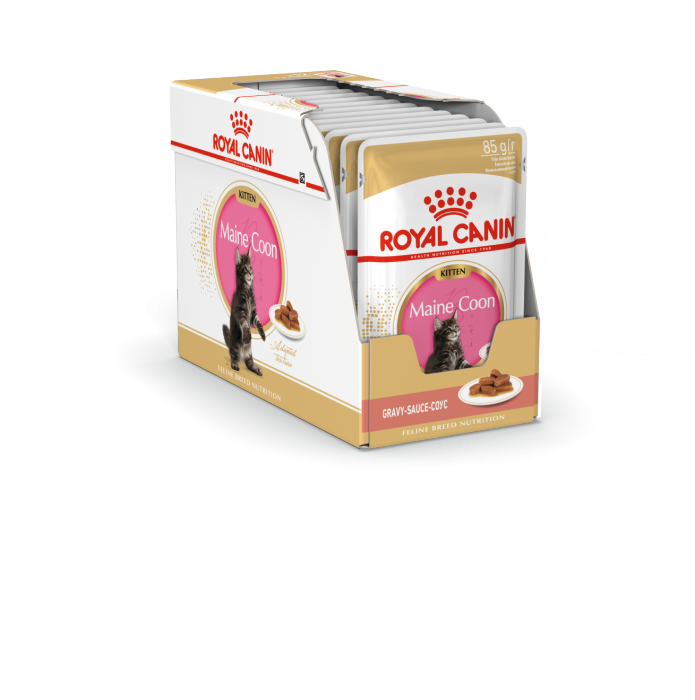Royal Canin влажный корм для котят породы Мэйн Кун, в соусе