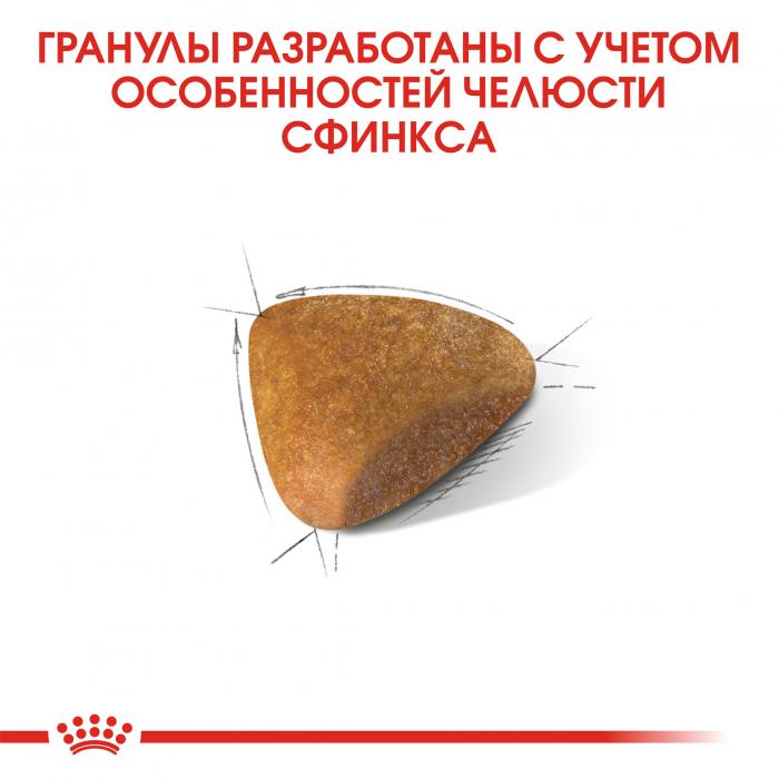 Royal Canin Sphynx сухой корм для кошек породы сфинкс