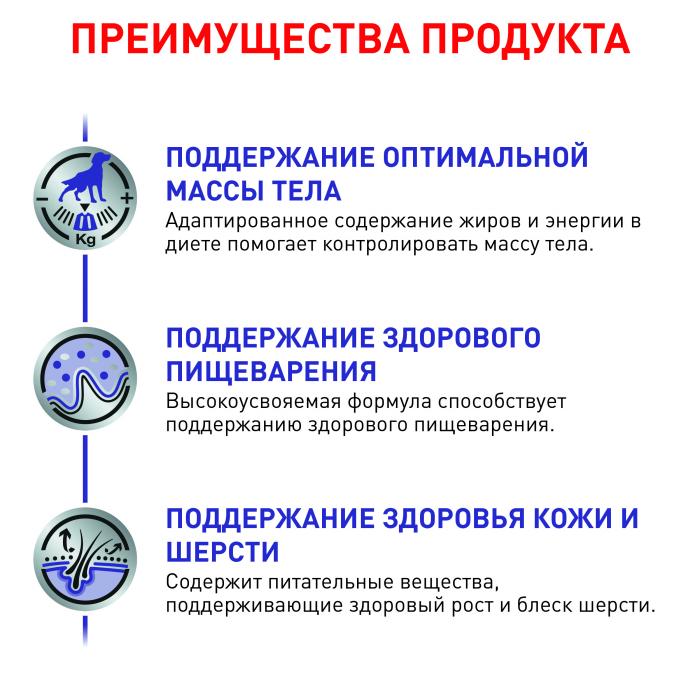 Royal Canin Neutered Adult влажный корм для стерилизованных или склонных к набору веса собак, мелкие кусочки в соусе