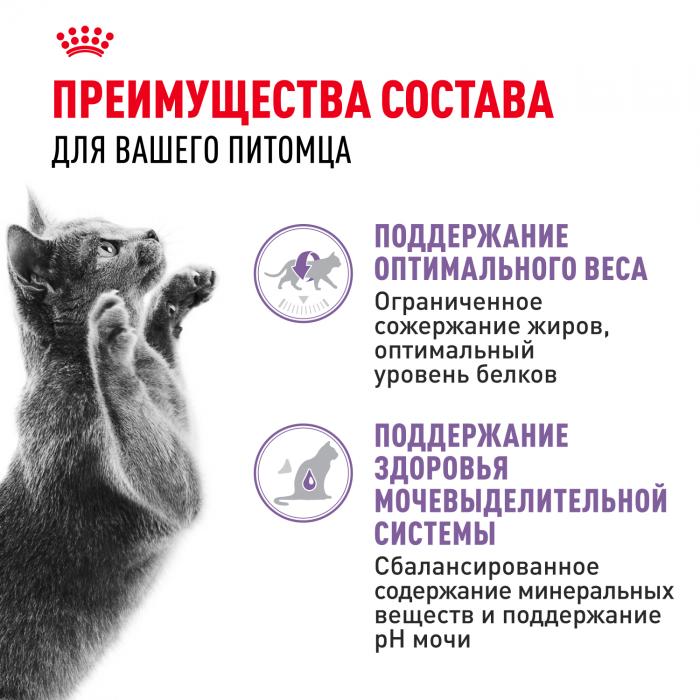 Royal Canin влажный корм для стерилизованных взрослых кошек всех пород, кусочки в желе