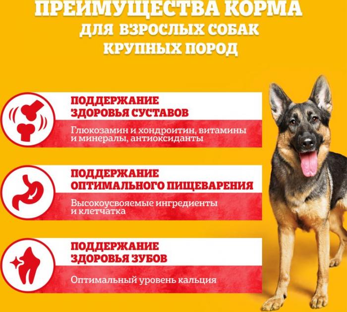 Pedigree сухой корм для собак крупных пород с говядиной, рисом и овощами