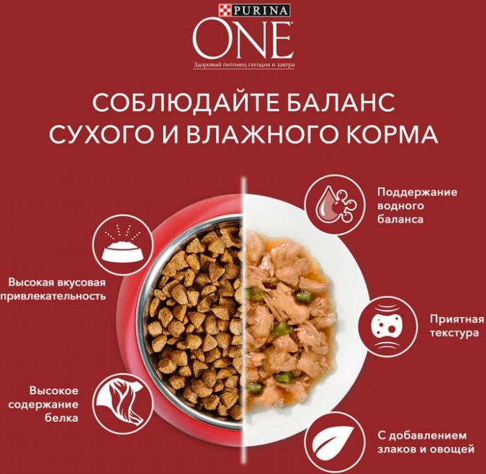 Влажный корм Purina ONE® Мини для активных взрослых собак мелких и карликовых пород, с говядиной, картофелем и морковью в подливе 