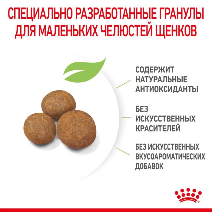 Royal Canin Giant Puppy сухой корм для щенков гигантских пород от 2 до 8 месяцев